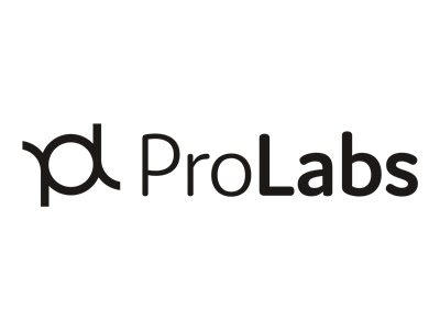 Prolabs Logo