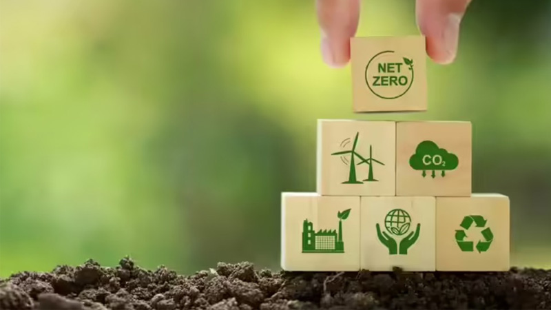 Life beyond carbon credits: Maximising Impact
