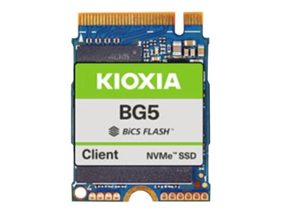 KIOXIA BG5 Series KBG50ZNS256G - SSD - 256 GB - client - PCIe 4.0