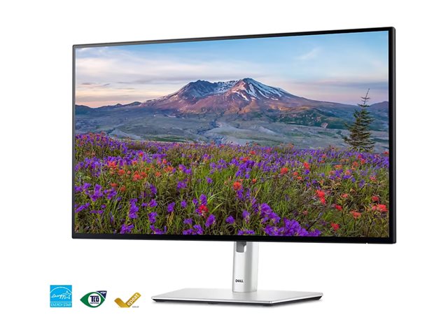 Dell UltraSharp U2424HE - LED monitor - 24
