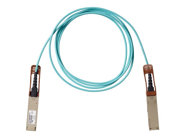 Cisco 100GBase direct attach cable - 1 m - 1 m