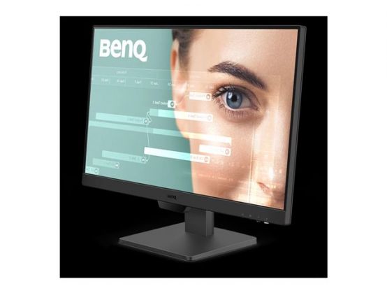 BenQ GW2490 - LED monitor - 24