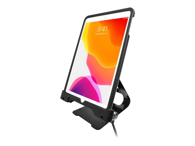 ANTI-THEFT SECURITY CASE WITH STAND FOR IPADS