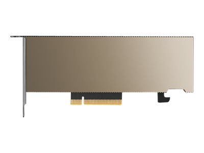 NVIDIA A2 - GPU computing processor - A2 - 16 GB GDDR6 - PCIe 4.0 x8 low profile - fanless