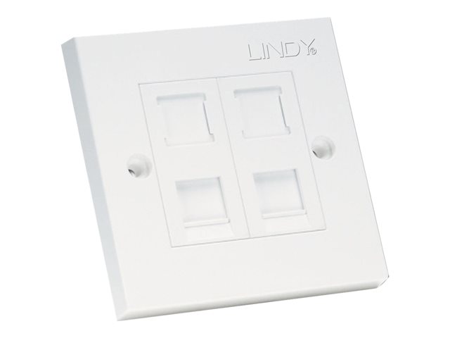 2 PORT CAT5E FLAT FACE PLATE SINGLE RJ45 / IDC TERMINA