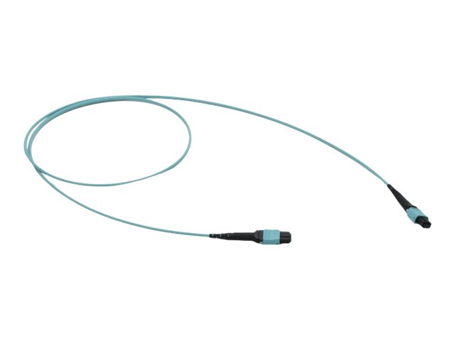 FIBER LINK 2X12 MTPF 2X12 MTPF OM4 50M