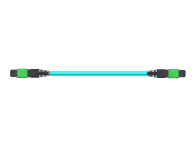 NVIDIA - 400GBase direct attach cable - MPO-12/APC multi-mode to MPO-12/APC multi-mode - 30 m - 30 m - fibre optic - passive