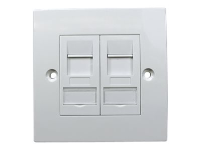 SINGLE GANG 2 PORT CAT6A FACEPLATE