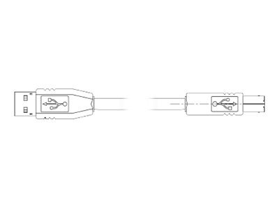 KIT USB I/F CBL 6FT A/B GRAY .