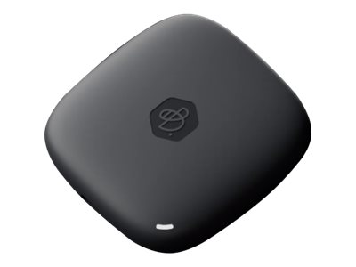 Synology BeeDrive - SSD - 2 TB - external - USB 3.2 Gen 2 (USB-C connector)