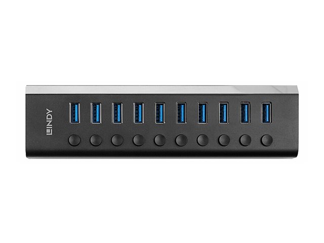 Lindy - hub - with on/off switches - 10 ports