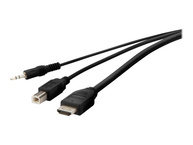Belkin Secure KVM Combo Cable - video / USB / audio cable - TAA Compliant - 3.05 m