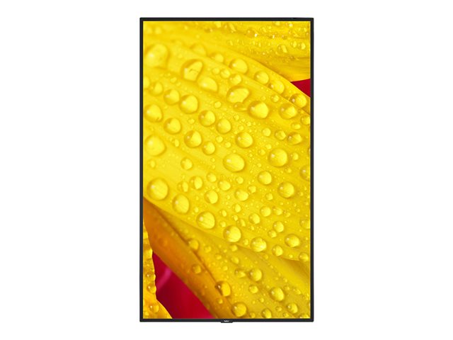 NEC MultiSync ME551 ME Series - 55" LED-backlit LCD display - 4K - for digital signage