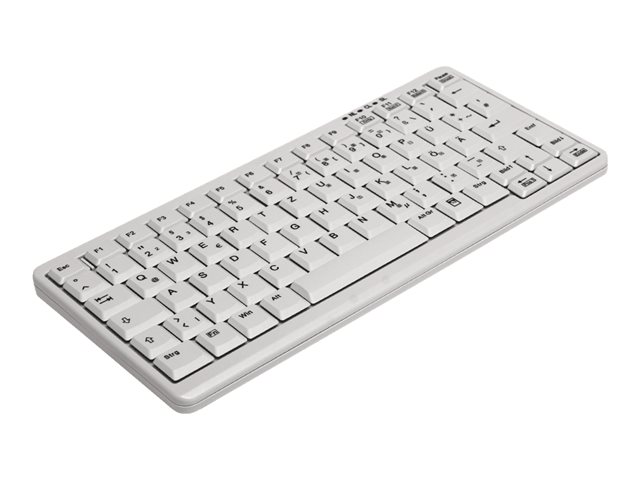 Active Key AK-4100-P - keyboard - French - white Input Device
