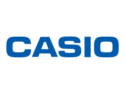 Casio YL-3A - projector lamp