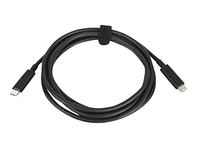HP 100W - USB-C cable - USB-C to USB-C
