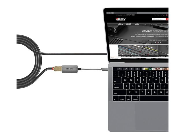 Lindy - USB / DisplayPort adapter - USB-C to DisplayPort - 12 cm