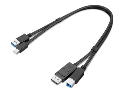 THINKSTATION MDP + USB-A 3.0 TO DP + USB-B 3.0 DUAL HEAD CABLE