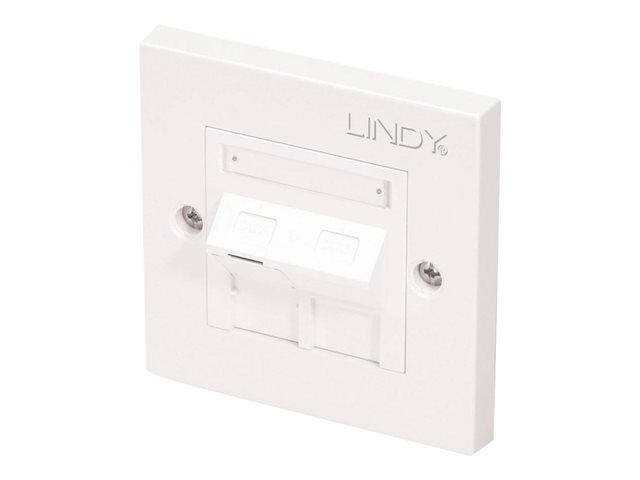 LINDY mounting plate