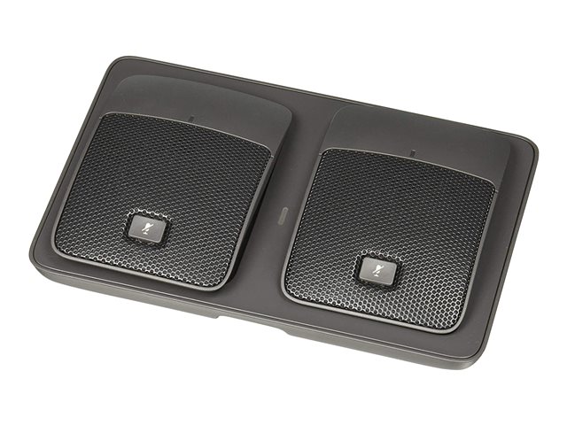 Cisco Wireless Microphone Kit - Microphone (pack of 2)