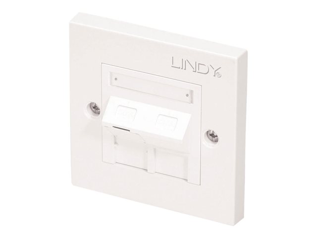 LINDY mounting plate