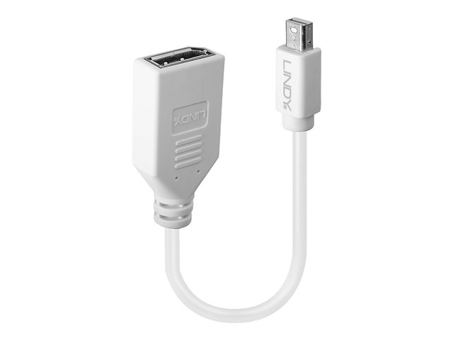 0.20M MINI DP TO DP ADAPTER CABLE