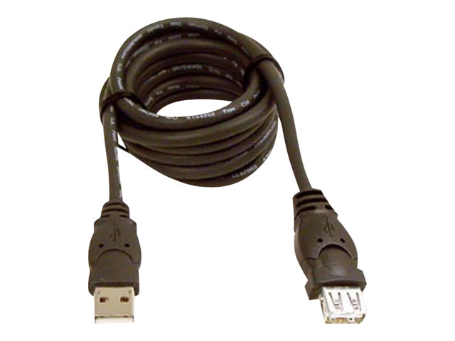 Belkin 10ft USB A/A 2.0 Extension Cable, M/F, 480Mp - USB extension cable - USB to USB - 3 m