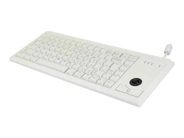 CHERRY ML4420 - Keyboard - USB - US - light grey