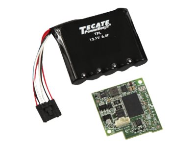 Intel RAID Maintenance Free Backup Unit - RAID controller cache data protection module