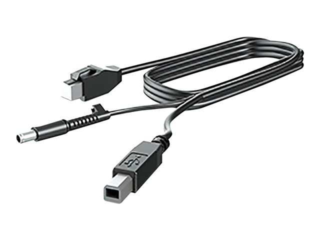 300CM DP+USB PWR CABLE .