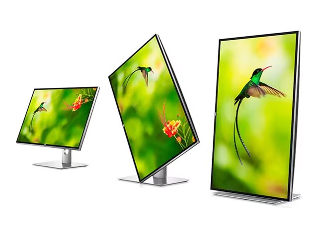 Dell UltraSharp UP3218KA - LED monitor - 31.5" - 7680 x 4320 8K @ 60 Hz - IPS - 400 cd/m² - 1300:1 - 6 ms - 2xDisplayPort - with 3 years Advanced Exchange Basic Warranty
