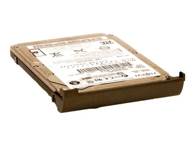 Hypertec - hard drive - 320 GB - SATA 3Gb/s