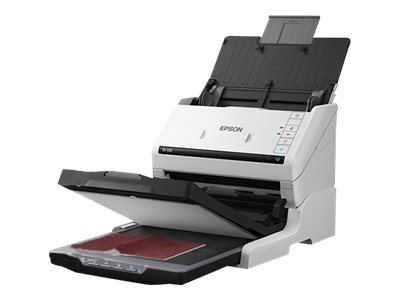 Epson - Scanner dockable flatbed accessory - for Epson DS-530, DS-530X, DS-575W, WorkForce DS-530II, DS-570WII, DS-770, ES-400, ES-865