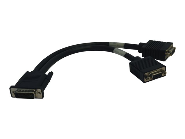Tripp Lite 1ft DMS-59 to 2x VGA Splitter Cable M/Fx2 1' - VGA cable - 30.5 cm