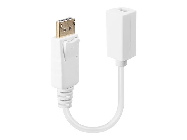 0.15M DP TO MINI DP ADAPTER CABLE DP MALE TO MINI DP FEMALE