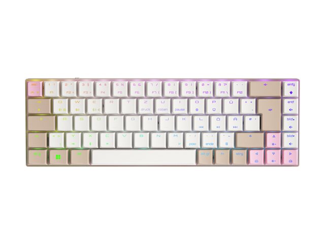 CHERRY MX MX-LP 2.1 - Keyboard - compact - backlit - wireless - Bluetooth 5.2, 2.4 GHz, USB-C - QWERTY - US - key switch: CHERRY MX Low Profile RGB Speed