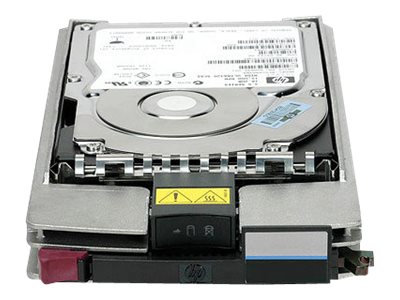 HP EVA M6412A 1 TB FATA Fibre Channel Dual Port Hard Disk Drive