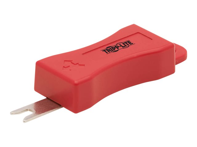 Eaton Tripp Lite Series Security Key for Tripp Lite RJ45 Plug Locks and Locking Inserts, Red, 2 Pack - system security key