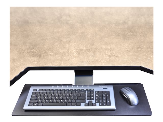 Ergotron Neo-Flex Underdesk Keyboard Arm - Keyboard/mouse arm mount tray - under-desk mountable - black
