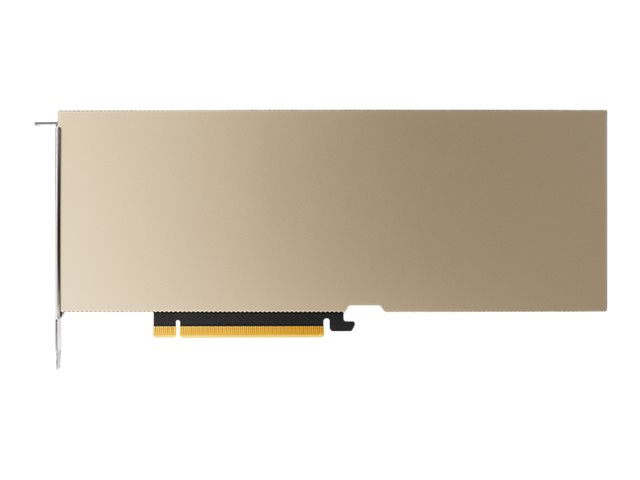 NVIDIA - GPU computing processor - A10 - 24 GB GDDR6 - PCIe 4.0 x16 - fanless