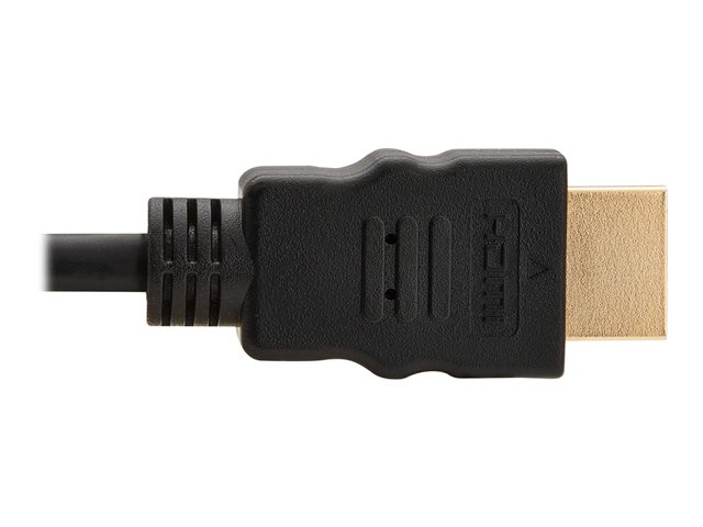 Eaton Tripp Lite Series High-Speed HDMI Cable, Digital Video with Audio (M/M), Black, 100 ft. (30.5 m) - HDMI cable - 30.5 m