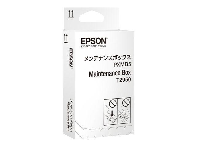 Epson Ink Cartridges, T2950, Maintenance Box