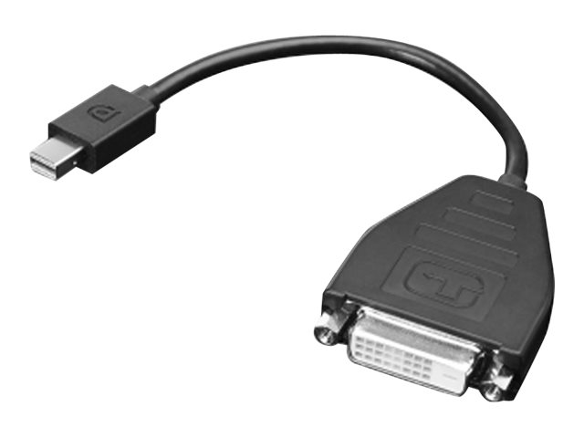 Lenovo DisplayPort adapter - 20 cm