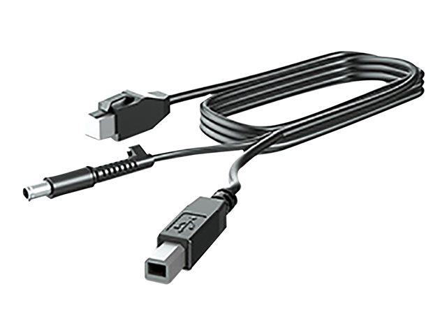 HP 300CM DP CABLE .