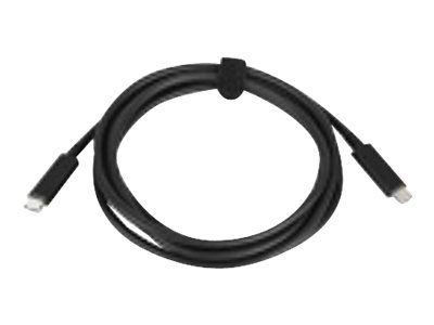 Lenovo - USB cable - USB-C (M) to USB-C (M) - 20 V - 3 A - 2 m - for ThinkPad T16 Gen 4 21QN