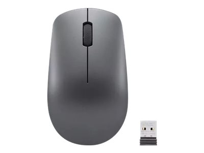 Lenovo Select Everyday - mouse - 2.4 GHz - storm grey