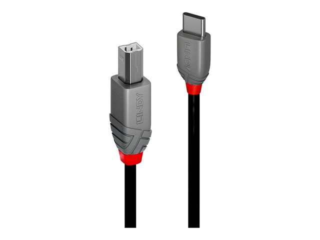 Lindy - USB-C cable - 24 pin USB-C to USB Type B - 3 m