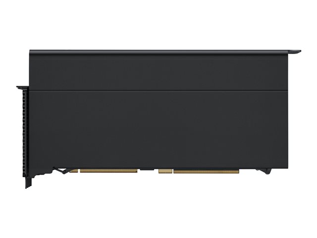 Apple Radeon Pro W6800X MPX Module - graphics card - Radeon Pro W6800X - 32 GB