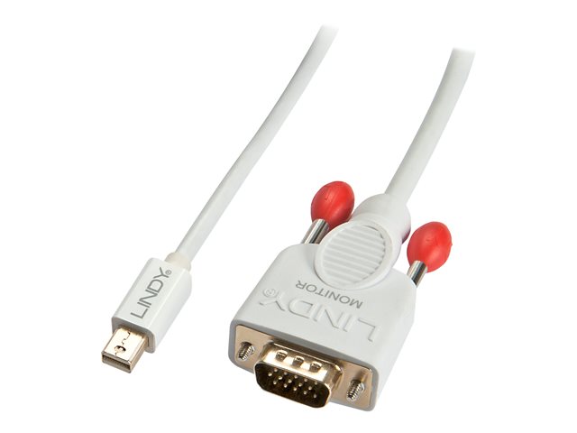 Lindy display cable - 1 m