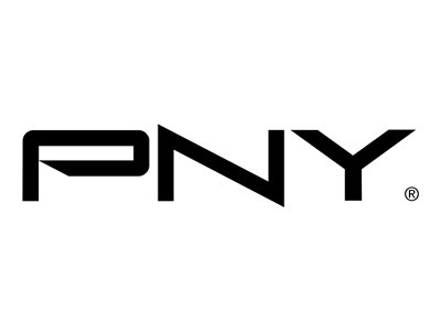 PNY - DisplayPort adapter - Mini DisplayPort to DisplayPort - black